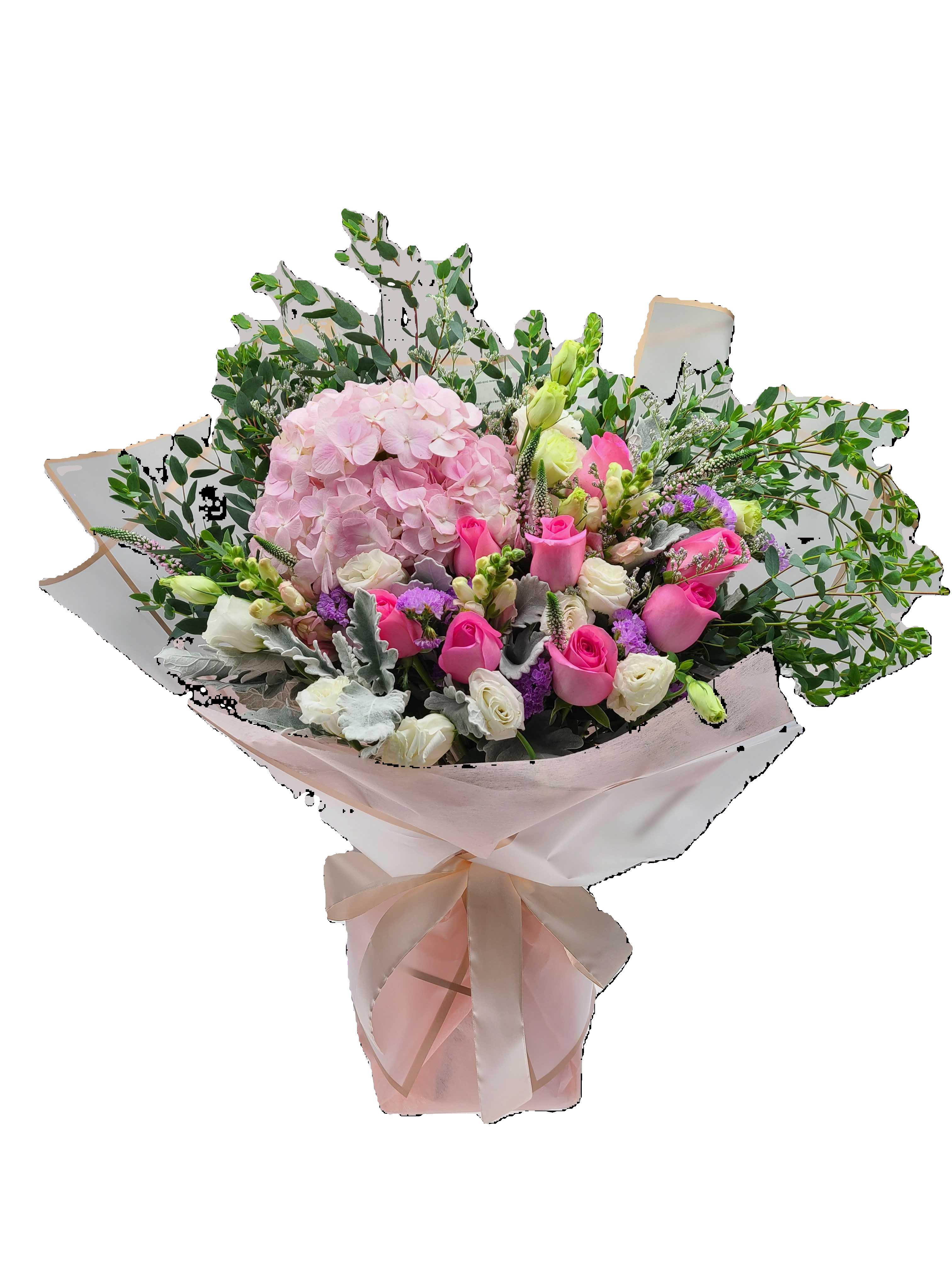 Hydrangea 3 (valentine's day)