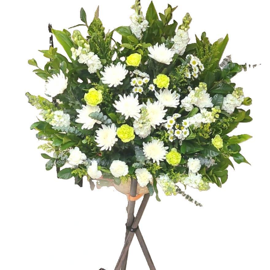 Condolence 5
