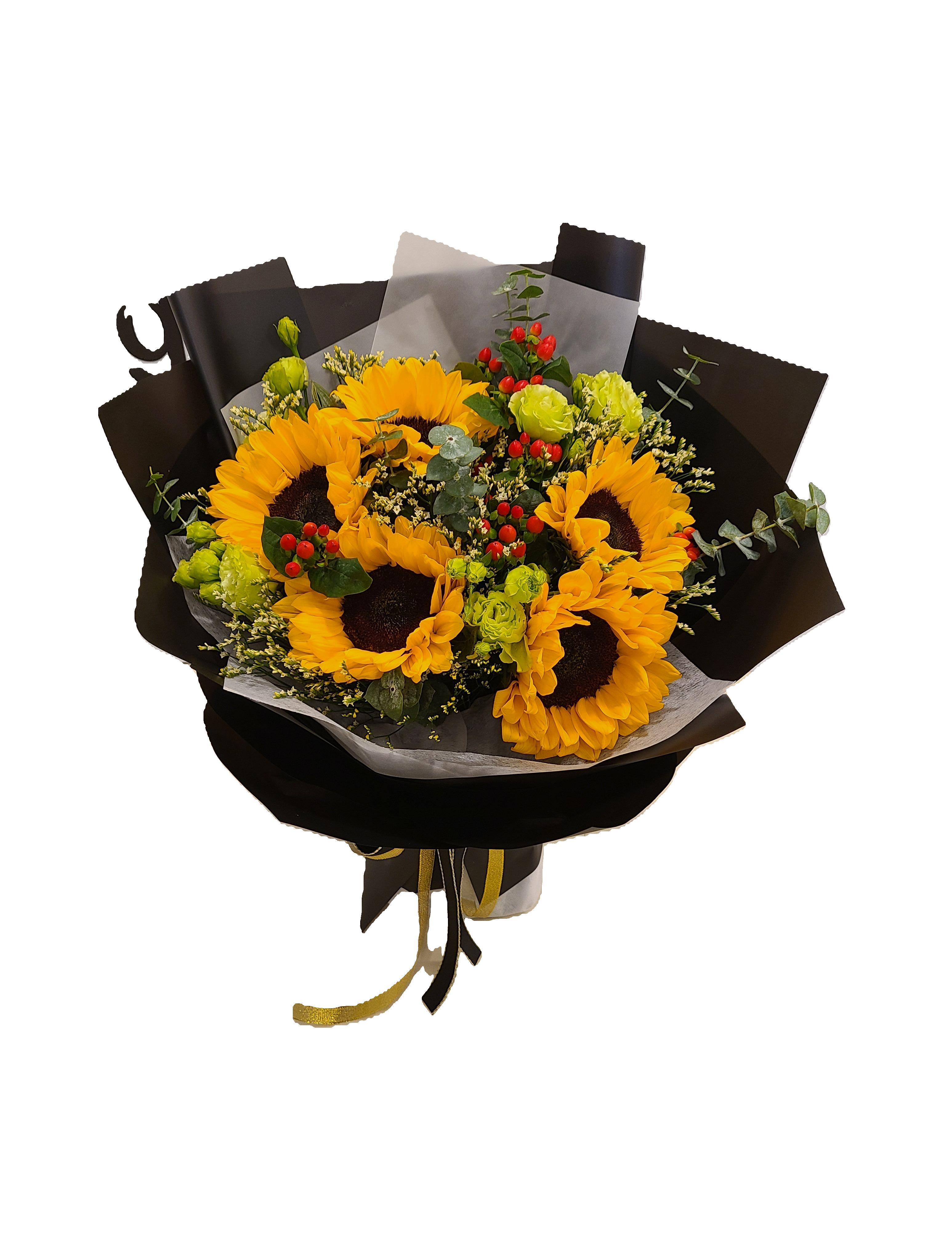 Sunflower 6