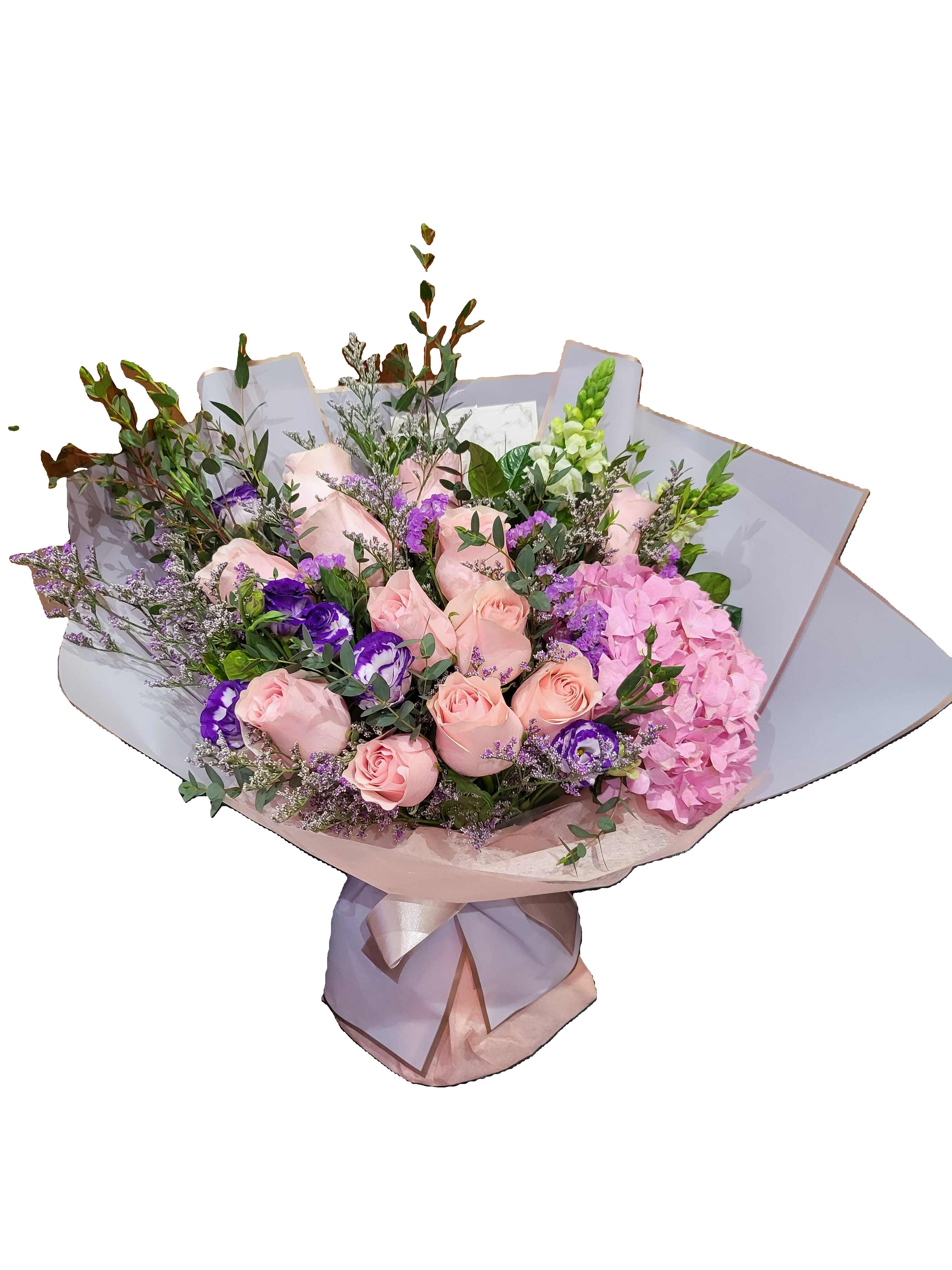 Hydrangea 11