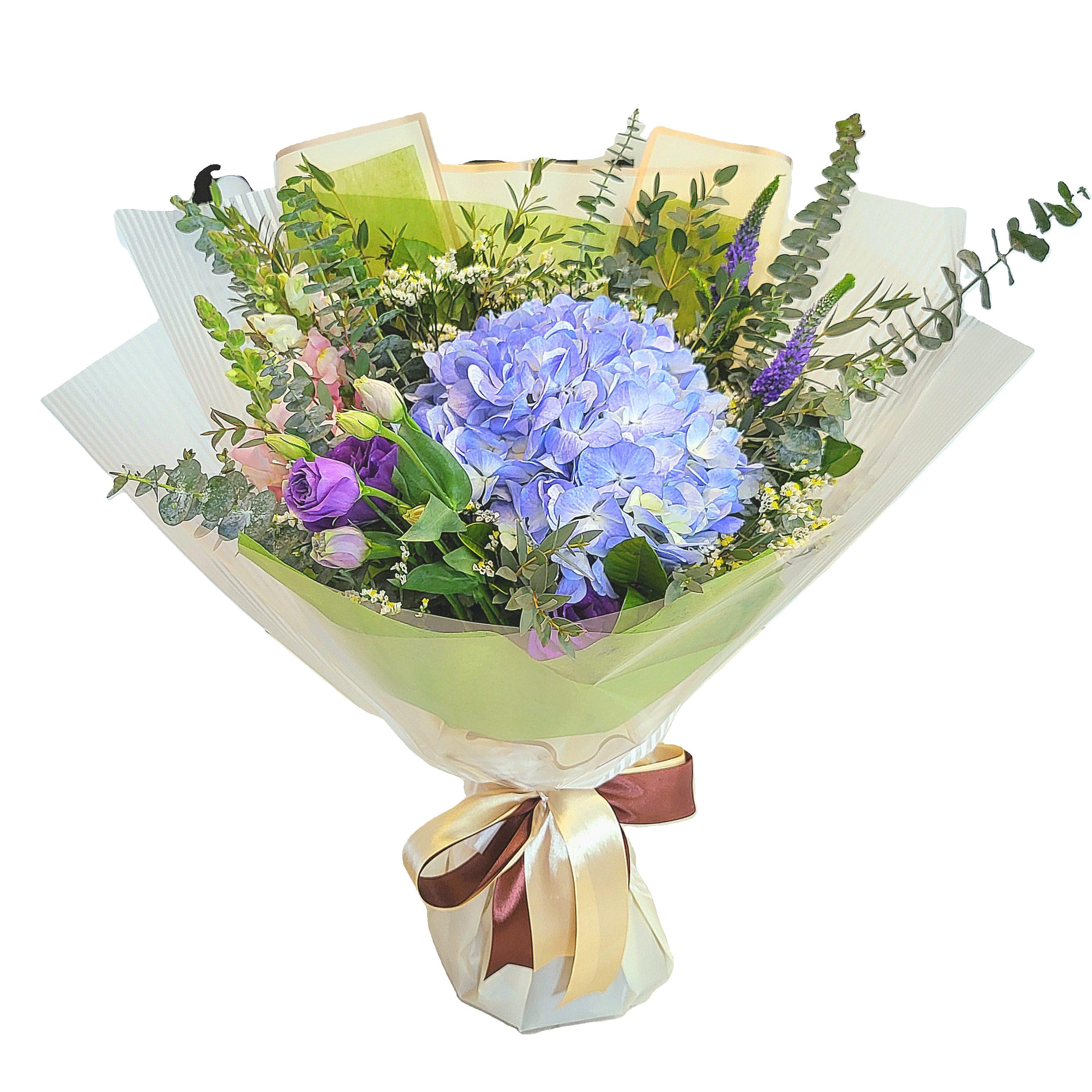 Hydrangea 13