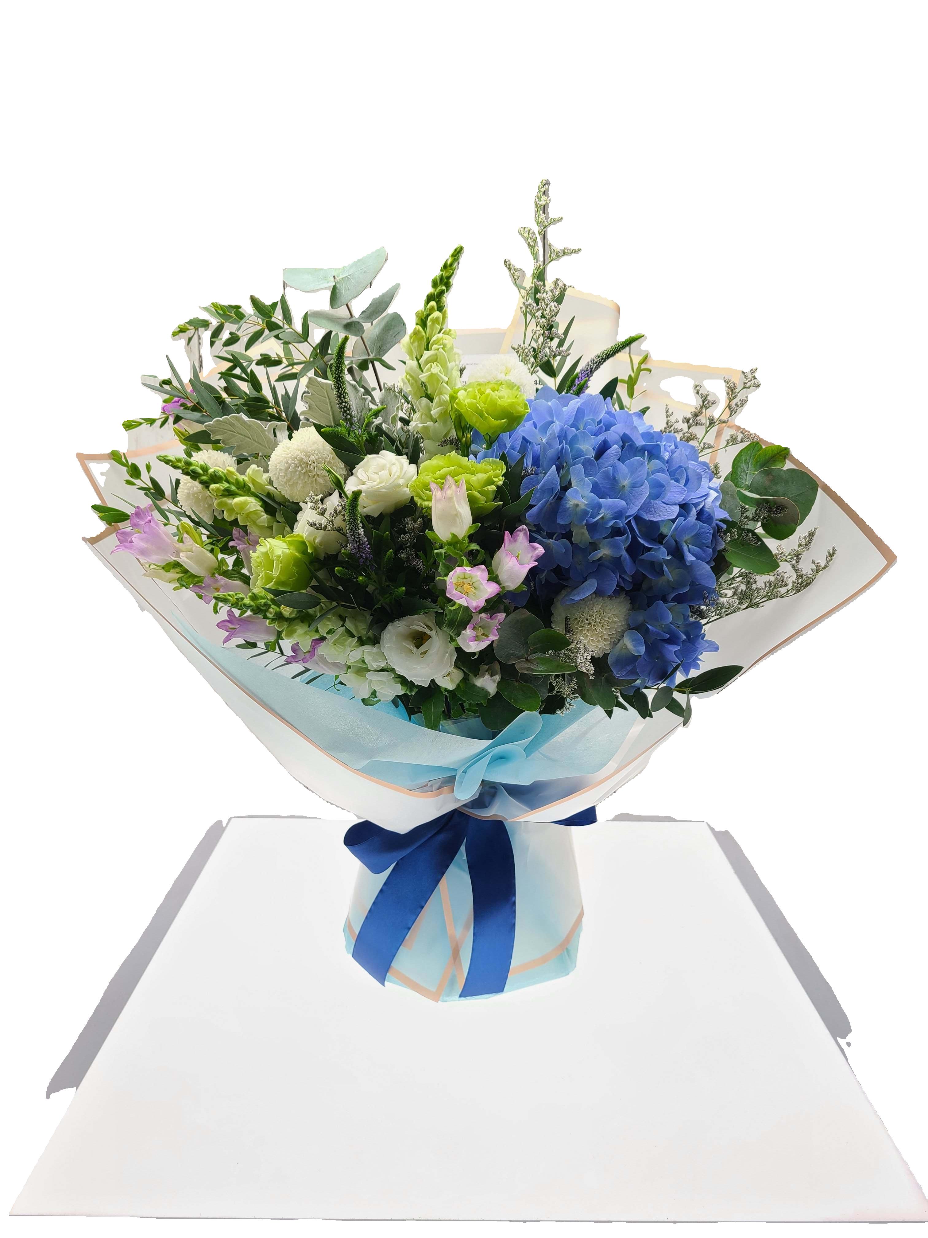 Hydrangea 2