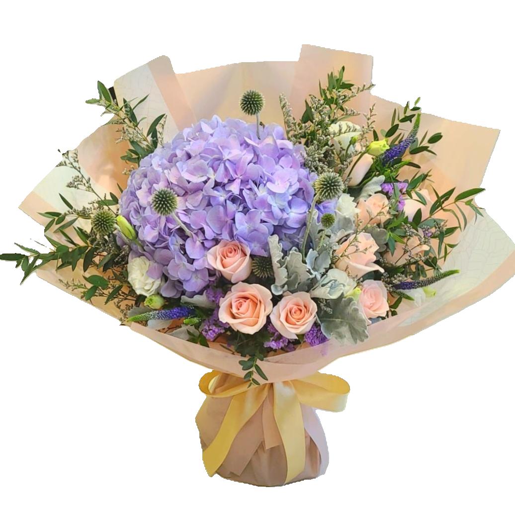 Hydrangea 10