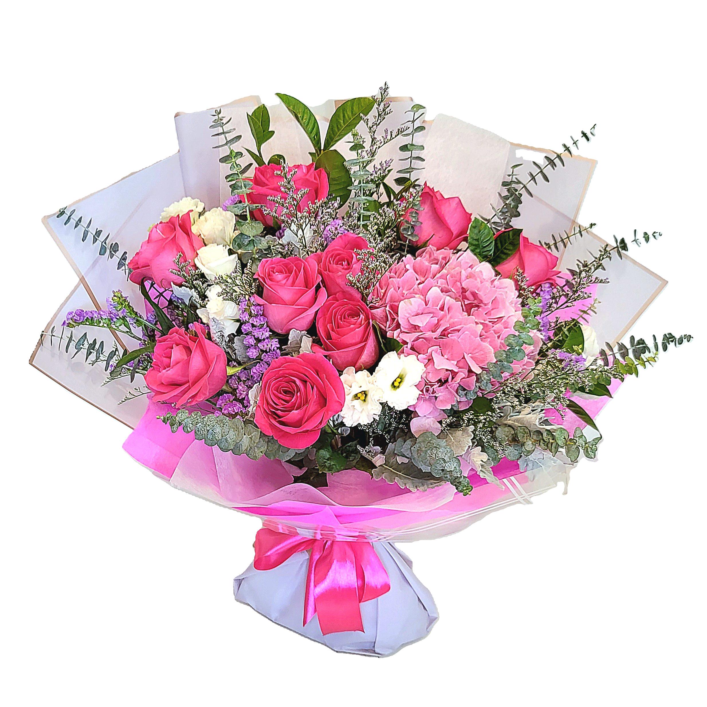 Hydrangea 8