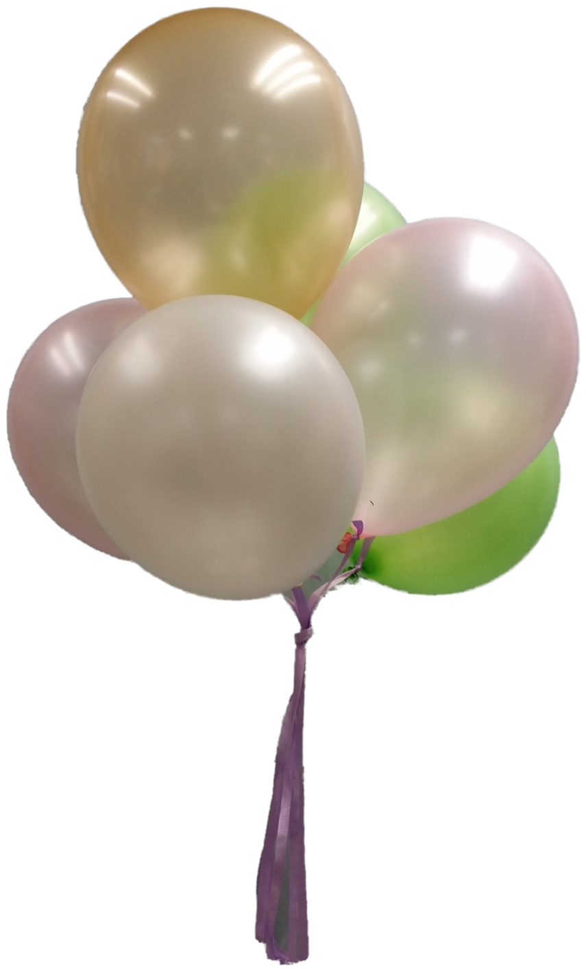 Assorted Latex Balloons x 6