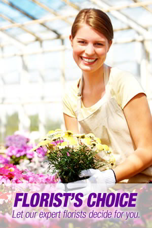 Florists Choice Mixed Bouquet 1