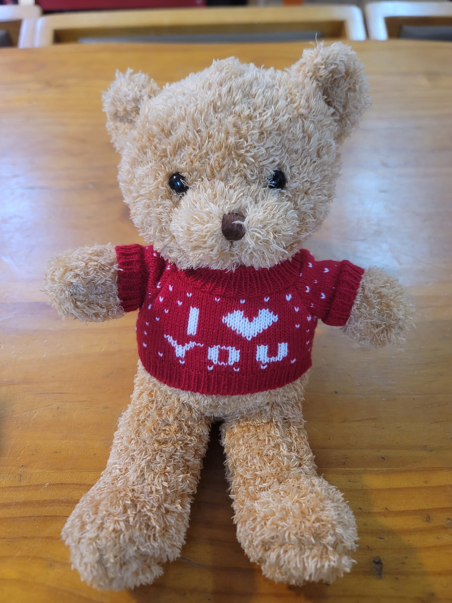 Teddy Bear i love u