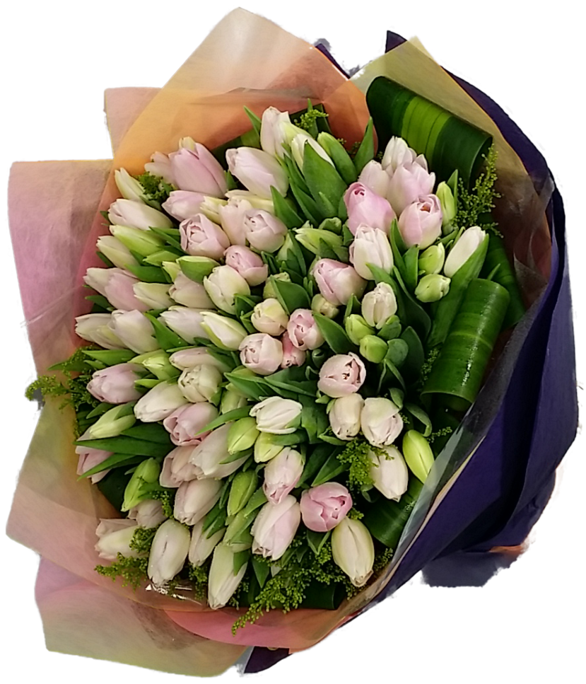 100pcs Holland Tulips Bouquet